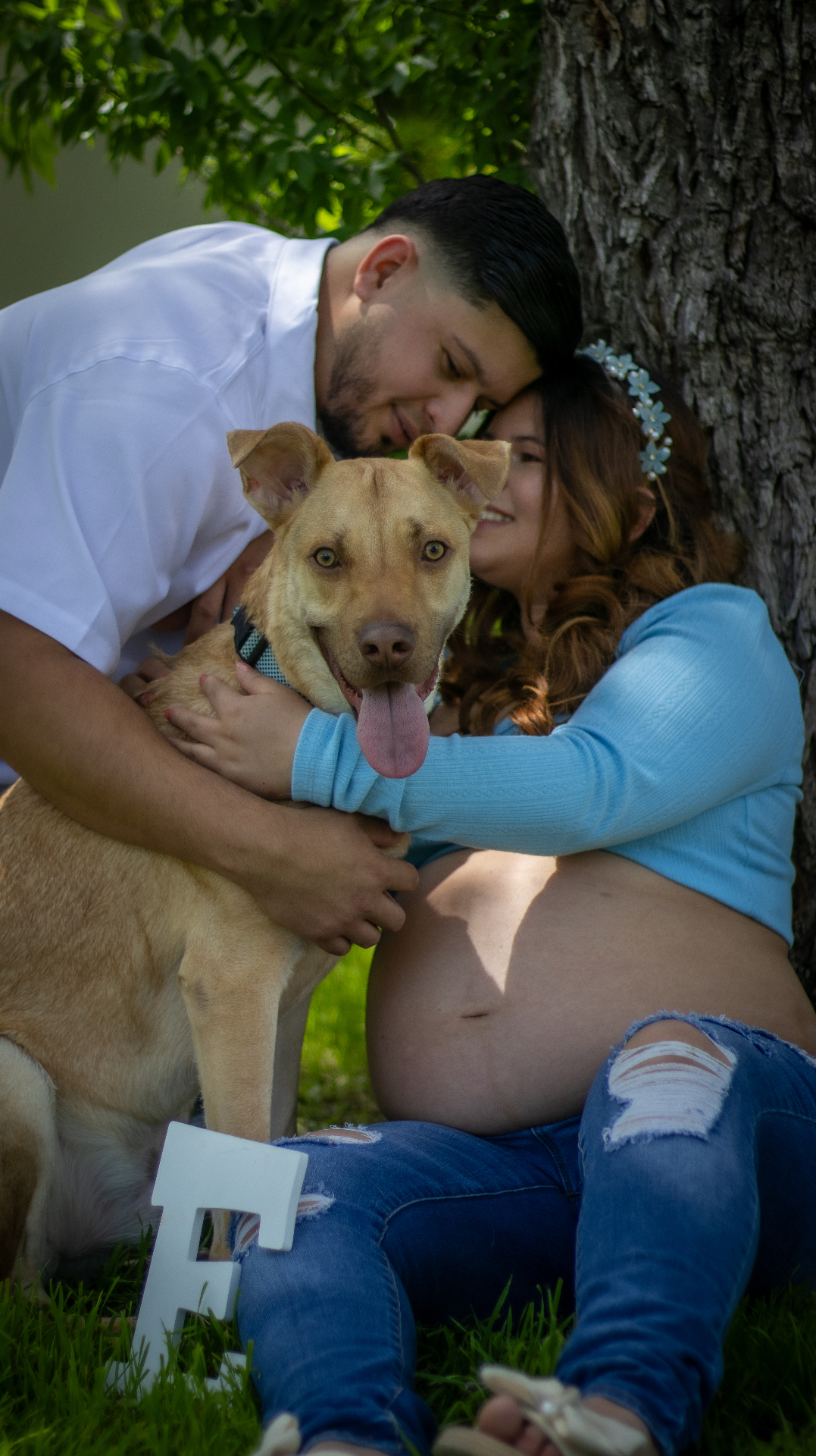 Expecting couple with their dog under a tree