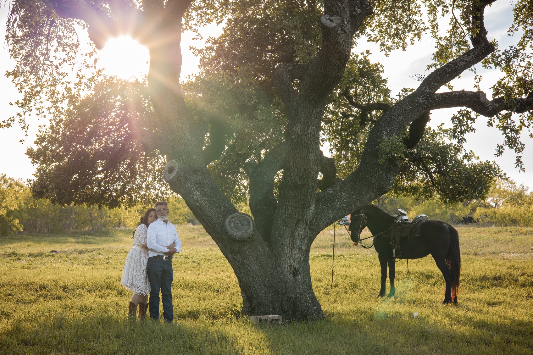 Couple embracing under a large oak tree at golden hour with a horse nearby